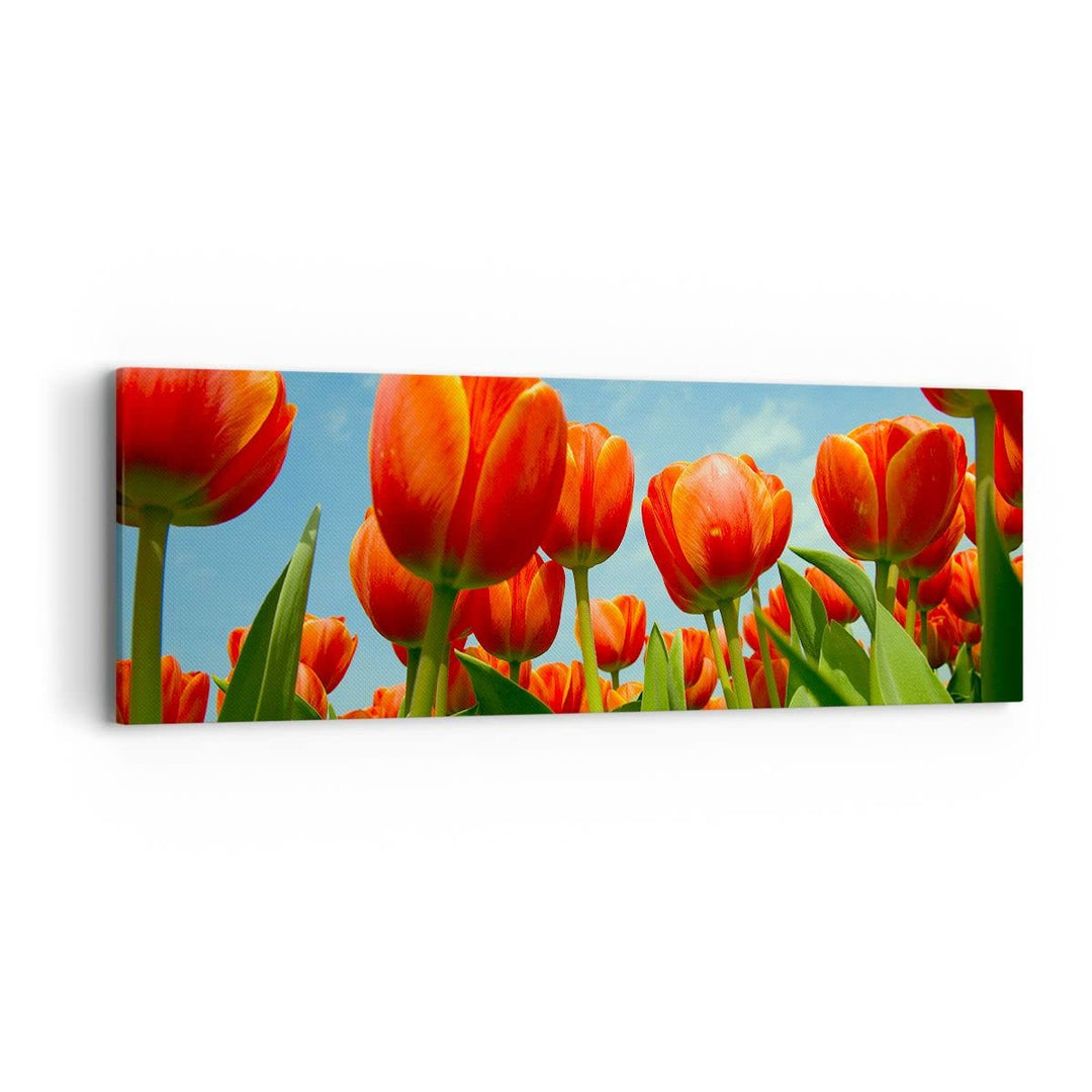 Panorama Bilder auf Leinwand Tulpe Blume blauer Himmel Leinwandbild 90x30cm Wandbilder Dekoration Wo