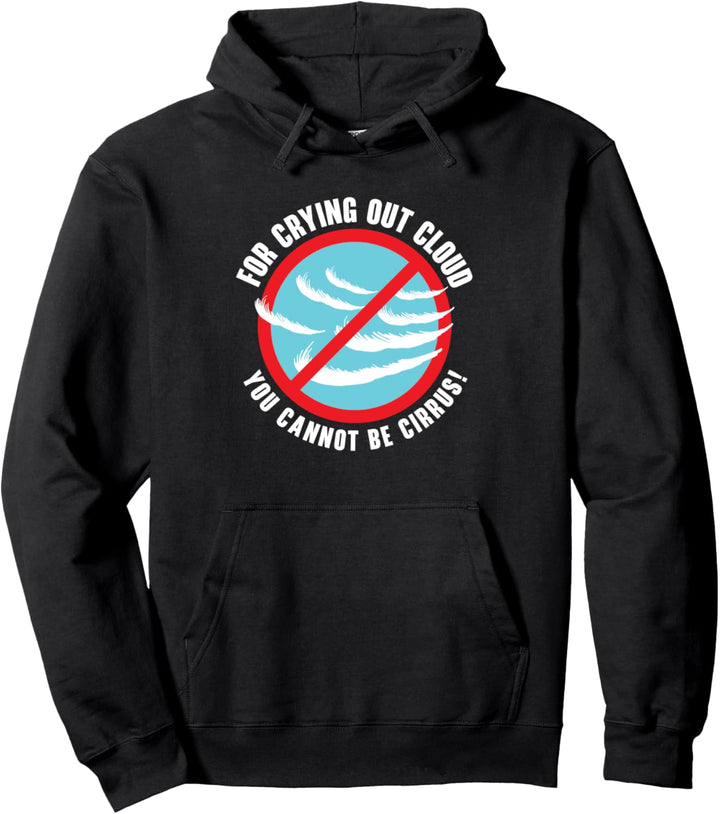 Meteorologie Weatherman Wettervorhersage Cirrus Cloud Pullover Hoodie