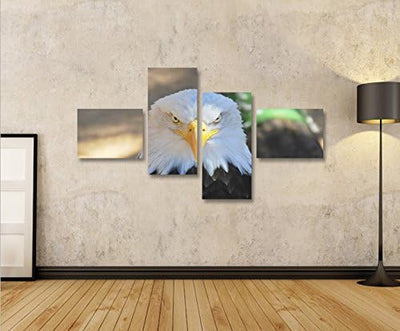 islandburner Bild Bilder auf Leinwand Adler Weisskopfseeadler USA Symbol 4L XXL Poster Leinwandbild