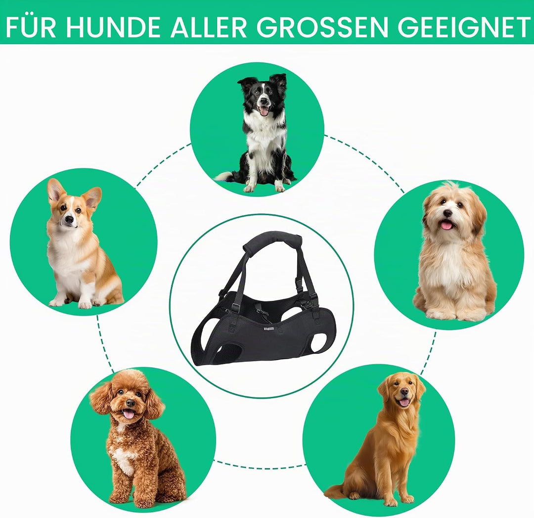 Tragehilfe Hund Gross, Hunde Tragehilfe, Hundeliftgeschirr, Hundehebegeschirr,Haustierunterstützung