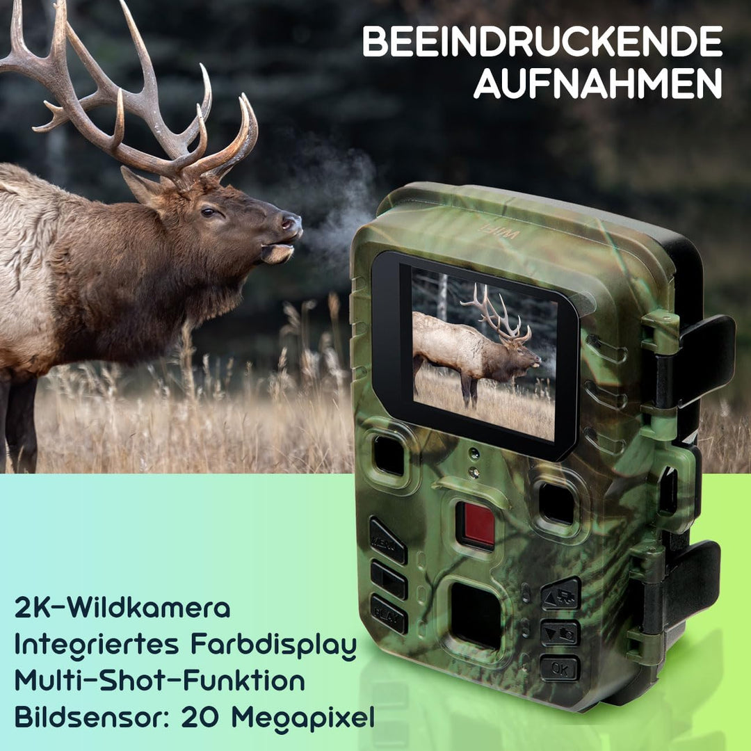Wildkamera 2K WLAN, Bewegungsmelder, Nachtsicht, Live View per App, Farbdisplay, Mikro, Bluetooth, Z