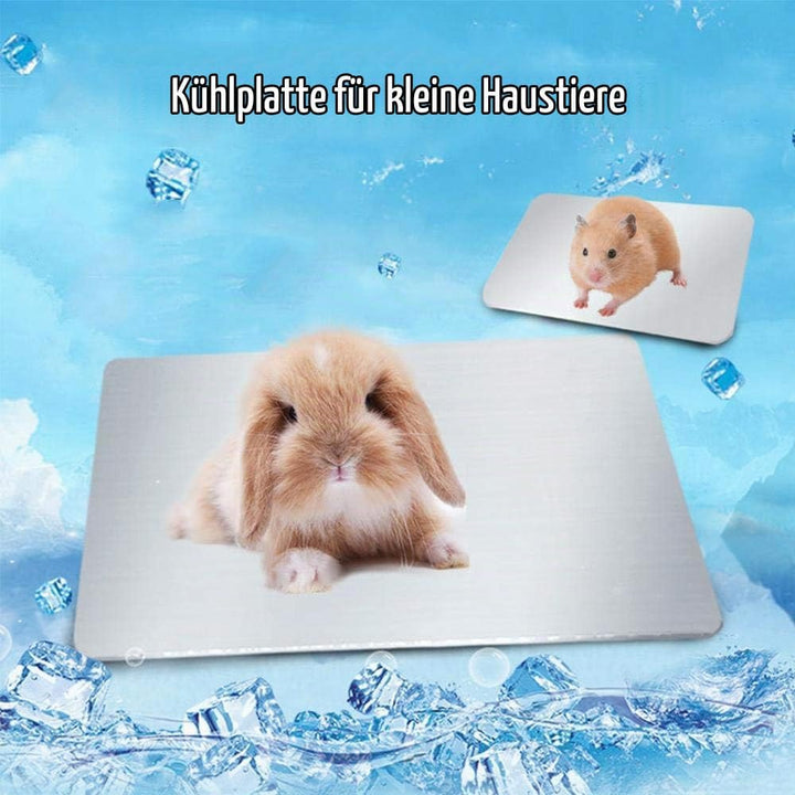 PeSandy Kaninchen-Kühlkissen, 2Stück Hamster-Kühlkissen für Kaninchen, Hasen, Hamster, Meerschweinch