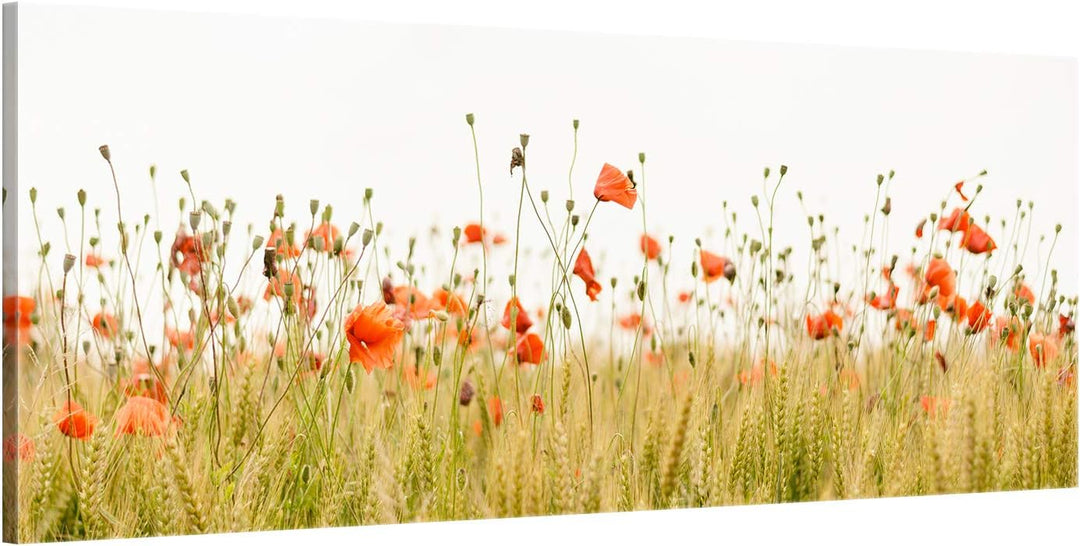 ge Bildet Bild auf Leinwand | Mohnfeld in 120x50 cm als Panorama Wandbild XXL | Wand-deko Dekoration