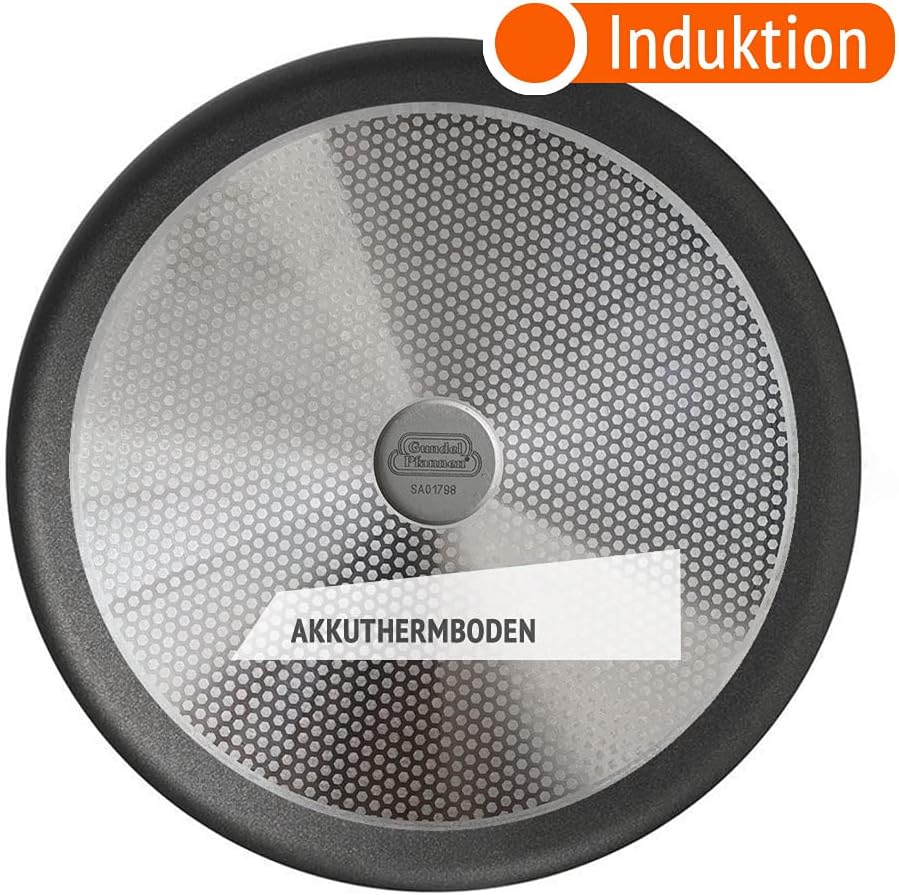 Original Gundel GUSS-MILCHTOPF INDUKTION, Ø 16 cm, Höhe 9 cm, Kasserolle mit Stiel, PFOA-frei, Akku-