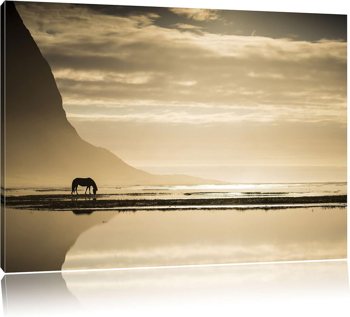 Pixxprint Pferd am Ufer Einer Insel / 100x70cm Leinwandbild bespannt auf Holzrahmen/Wandbild Kunstdr