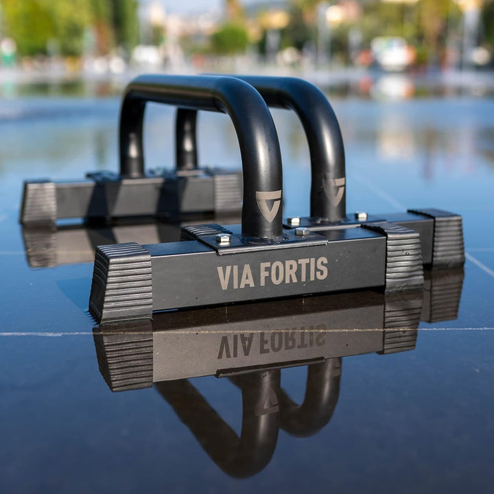 VIA FORTIS - Premium Paralettenstange - Extrem Stabiler und Leichter Stahl - Leicht transportierbar