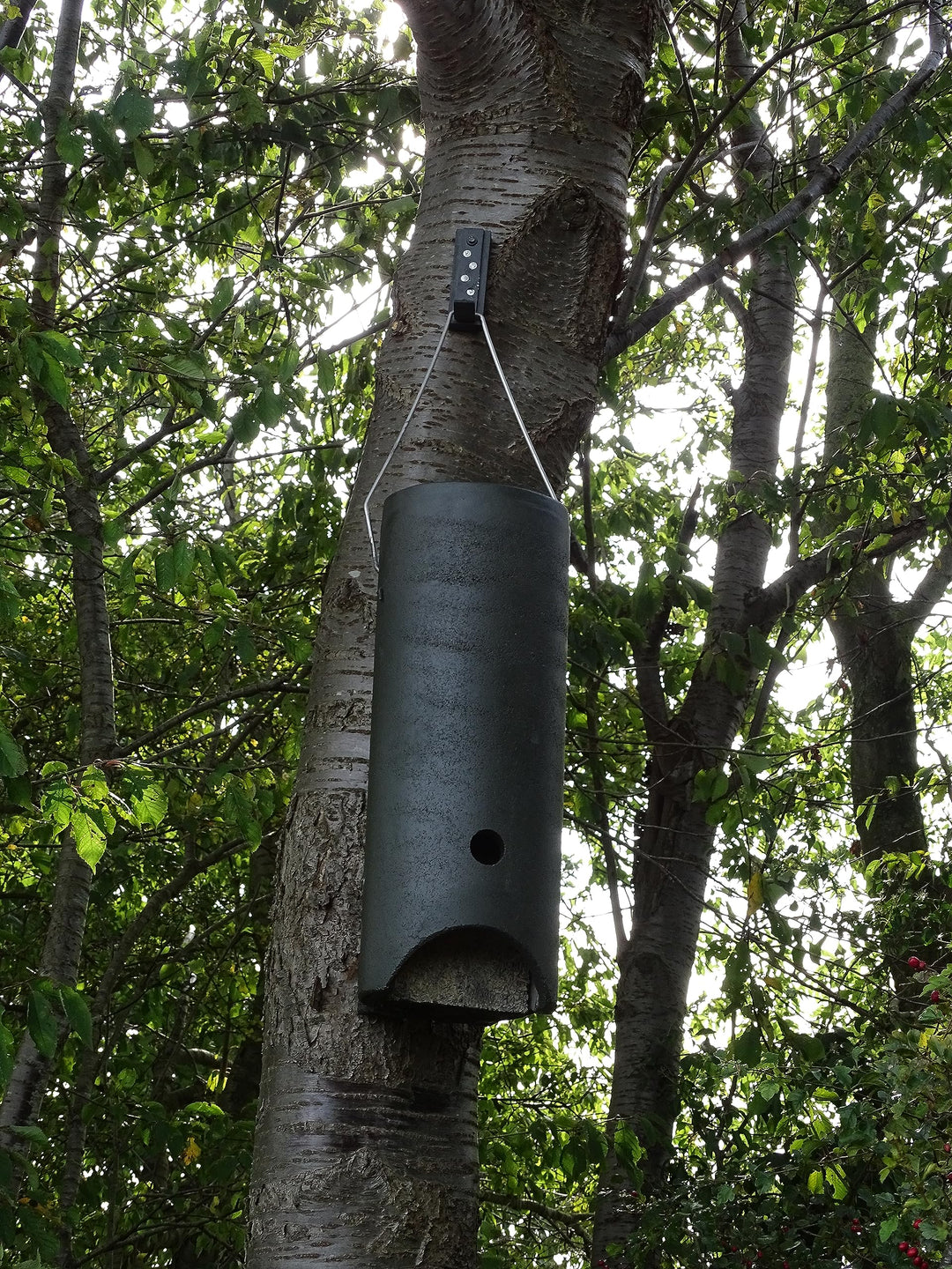 Fledermausgrossraumröhre aus Holzbeton | Wetterfest | Fledermausquartier | Fledermauswochenstube | G
