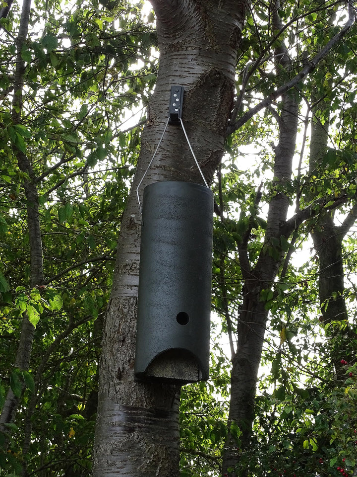 Fledermausgrossraumröhre aus Holzbeton | Wetterfest | Fledermausquartier | Fledermauswochenstube | G