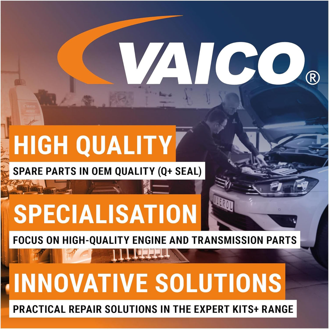 VAICO V10-6324 Fensterheber