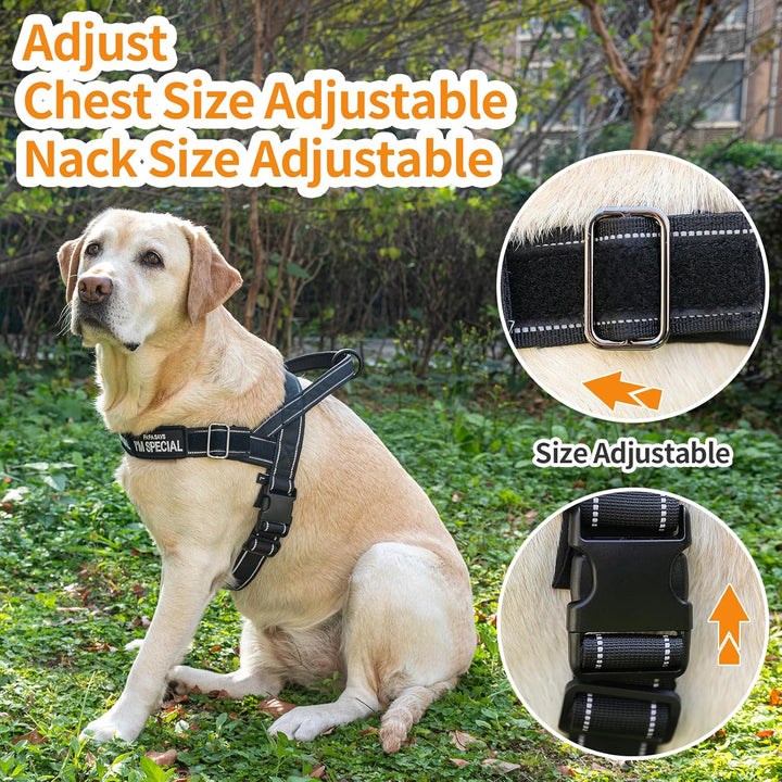 Hundegeschirr Verstellbar für Kleine Mittlere Grosse Hunde, Reflektierend Ausbruchsicher Ohne Zug, H