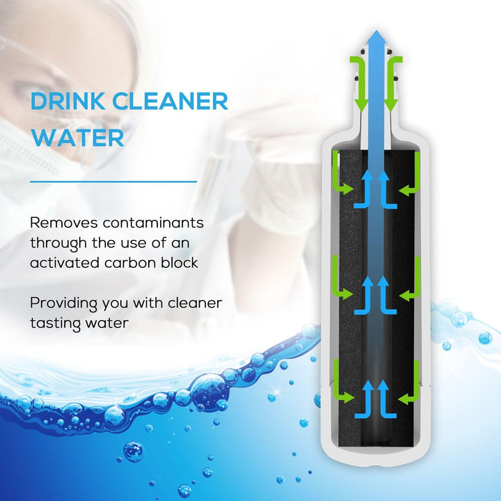 EcoAqua EFF-6032D Eis- und Wasserfilter für Kühlschränke passend für Beko 9256712, 487960200, 434665