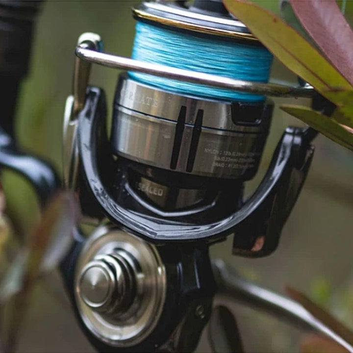Daiwa Rolle Certate LT 19 Certate LT 19 2500D - 19CERGLT2500D Silber Schwarz 2500, Silber Schwarz 25