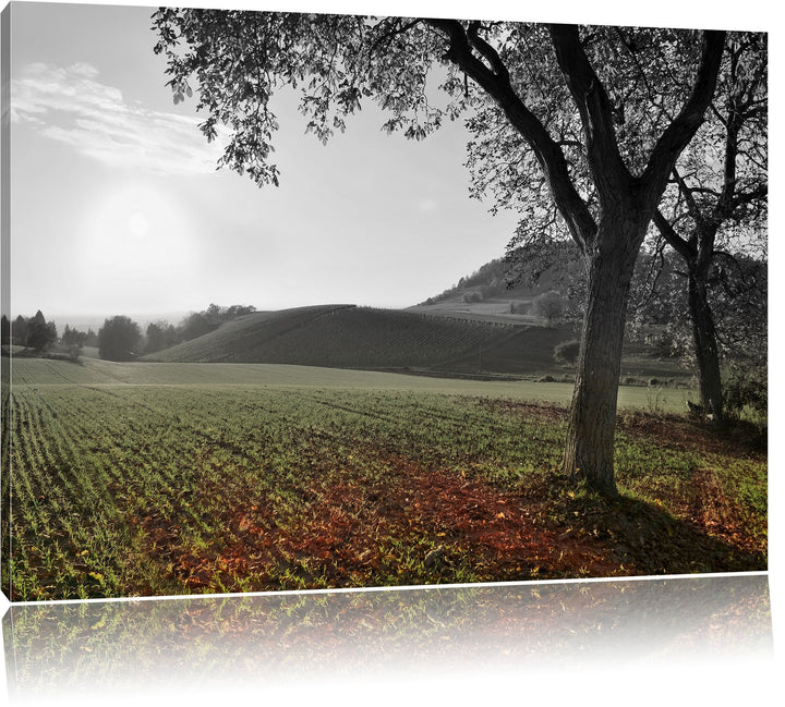 Pixxprint Landschaft im Herbst als Leinwandbild/Grösse: 100x70 cm/Wandbild/Kunstdruck/fertig bespann