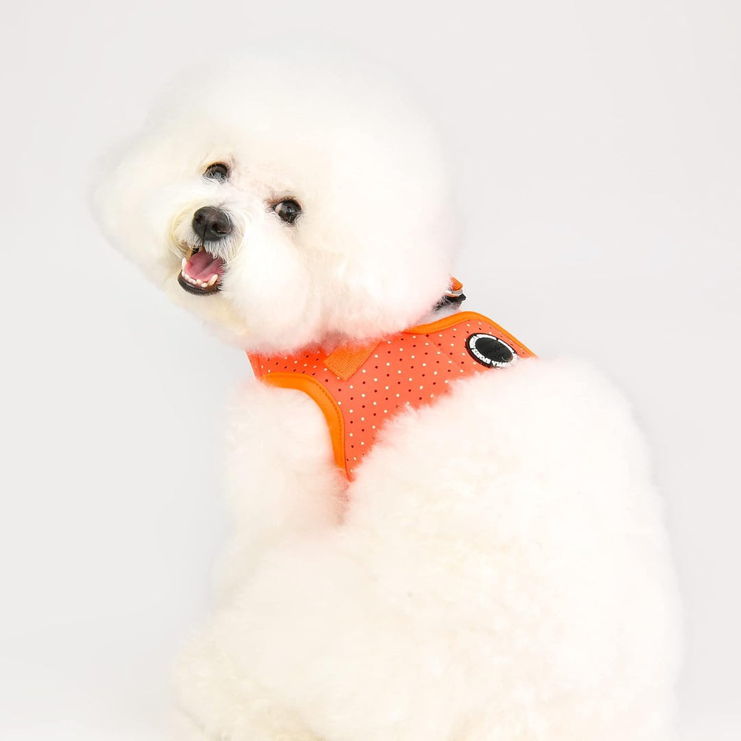 Puppia Hundegeschirr - Bonnie Geschirr B – für kleine und mittelgrosse Hunde Orange S, Orange S