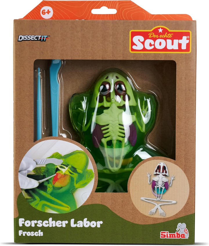 Simba Scout Dissect-It Frosch, zum Sezieren, 16cm, Skelett und Organe zum Zusammenbauen, Nachfüllset