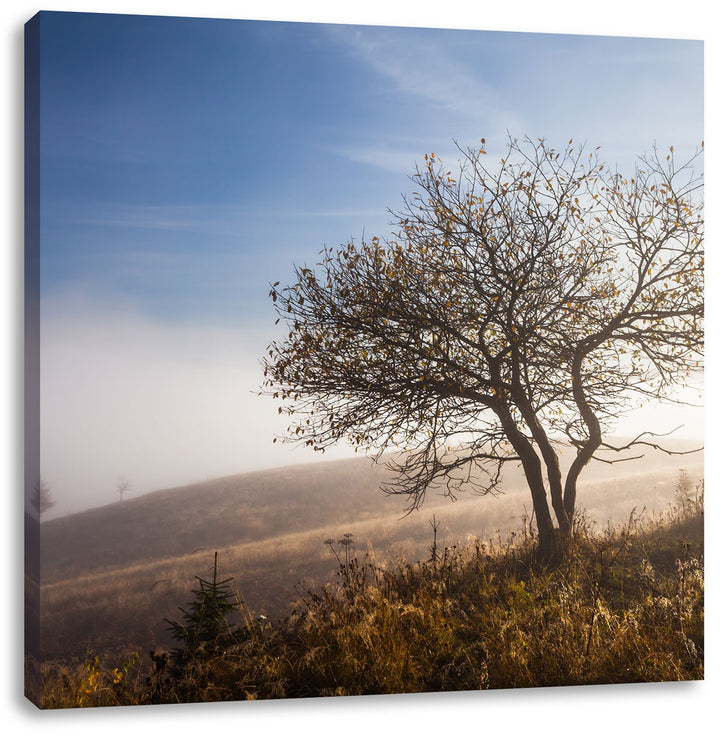 Pixxprint Baum im hohen Gras als Leinwandbild | Grösse: 70x70 cm | Wandbild | Kunstdruck | fertig be