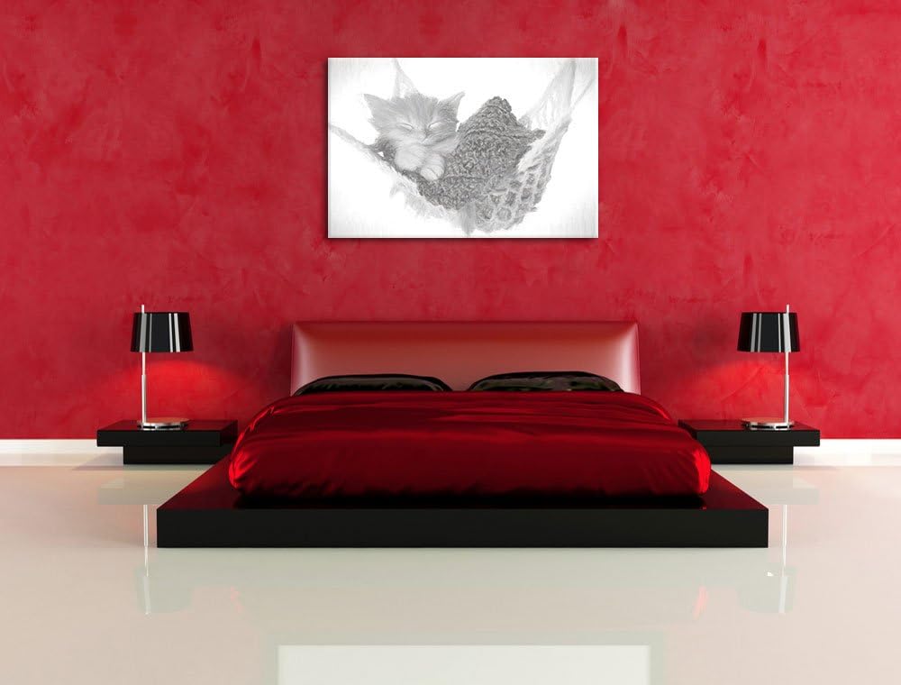 Pixxprint Katzenbaby in Hängematte als Leinwandbild/Grösse: 100x70 / Wandbild/Kunstdruck/fertig besp