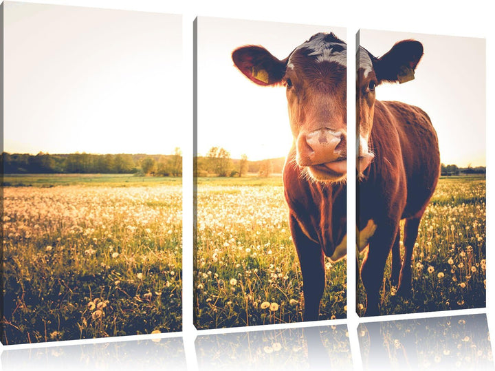 Pixxprint Kuh auf Butterblumenwiese als Leinwandbild/Grösse: 3 Teilig (120x80) / Wandbild/Kunstdruck