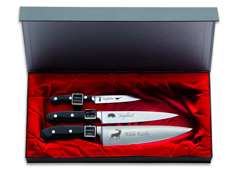 F. Dick Messerset Jagd Premier Plus 3-TLG. (Officemesser 12cm, Filetiermesser 18 cm, Kochmesser 21 c