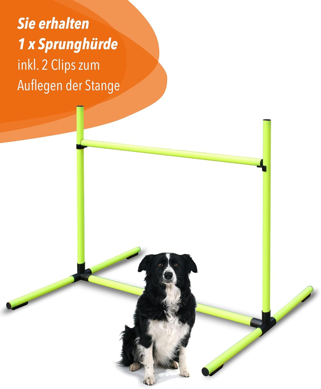 Sprunghürde aus Kunststoff – für Agility & Obedience – Parcours-Hindernis für Agility Training – Hür