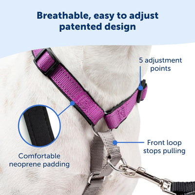 PetSafe 3-in-1 Hundegeschirr, Anti-Zieh, Hundegeschirr für Autogurt, Hundegeschirr Auto, Anti-Zug Hu