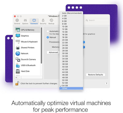 Parallels Desktop 18 for Mac Pro Edition | Run Windows on Mac Virtual Machine Software | 1 Year Subs