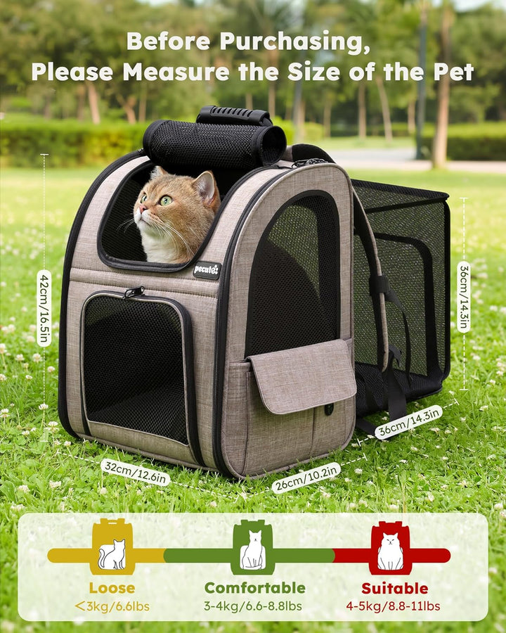 pecute Hunderucksack, Erweiterbar Faltbar, Katzenrucksack Grosse Katzen mit Anti-offener Reissversch