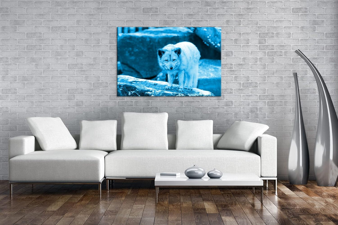 deyoli Atemberaubender Polarfuchs Format 80x60 Effekt: Monocrome Blau als Leinwandbild, Motiv fertig
