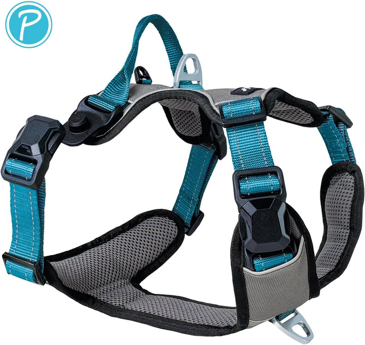Petlando Hundegeschirr Magnetech– Innovative Magnetschnalle, mit Griff, Zwei D-Ringe, reflektierend,