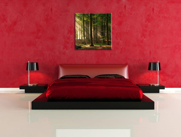 Pixxprint Bäume im Licht, Format: 70x70 auf Leinwand, XXL riesige Bilder fertig gerahmt mit Keilrahm