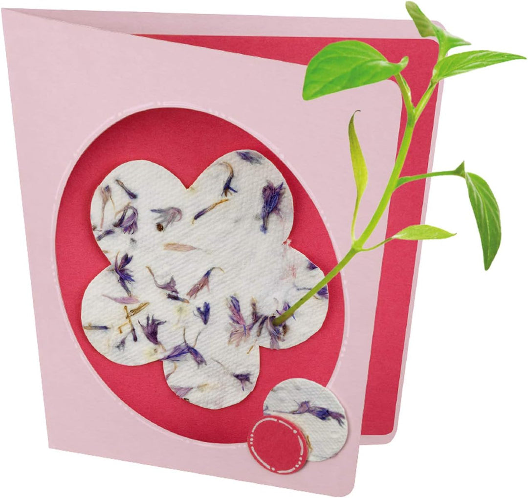 Kosmos 604202 AllesKönnerKiste Blühendes Papier. DIY-Bastelset für Mädchen und Jungen ab 8 Jahren, S