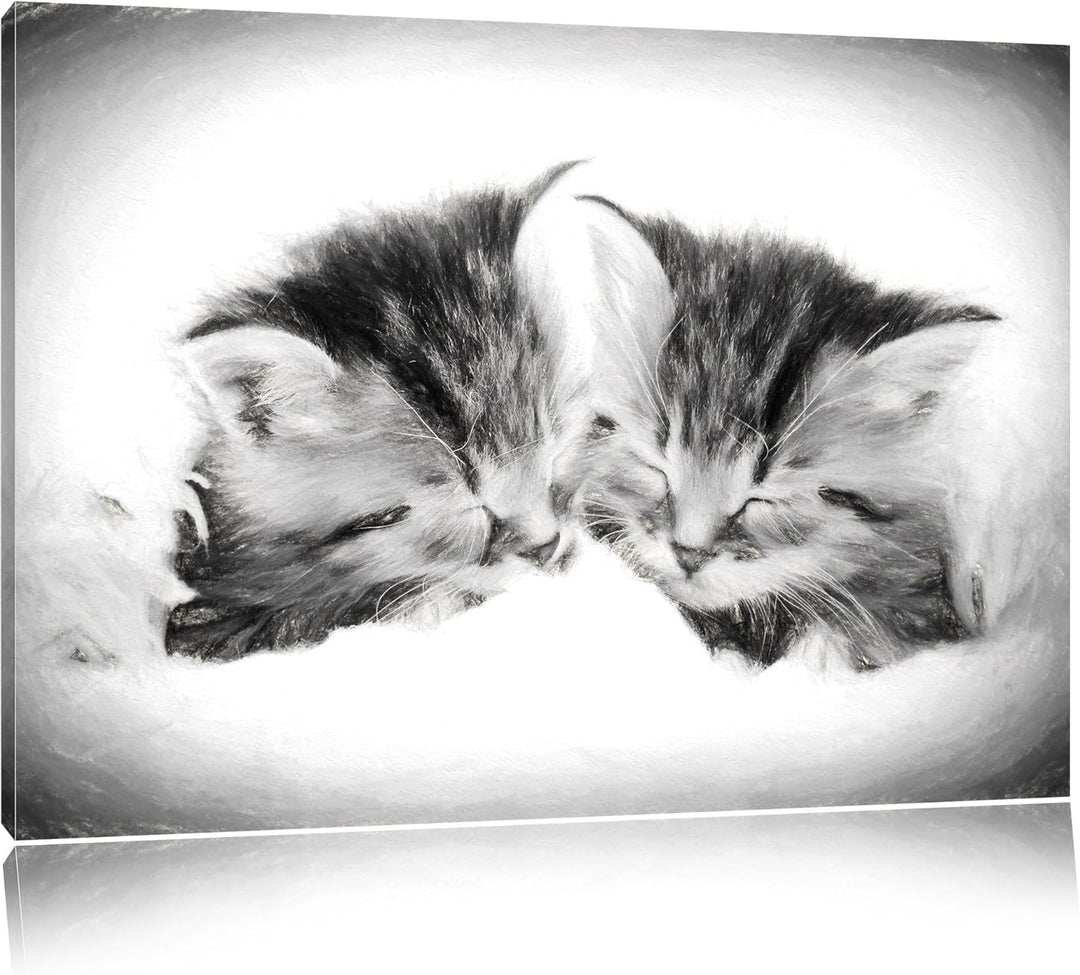 Katzenbabys Kohle Effekt, Format: 100x70 auf Leinwand, XXL riesige Bilder fertig gerahmt mit Keilrah