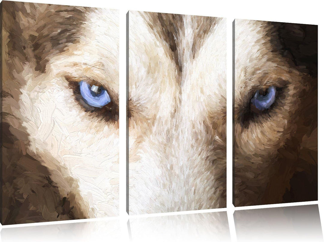 Pixxprint Husky mit eisblauen Augen als Leinwandbild/Grösse: 3 Teilig (120x80) cm/Wandbild/Kunstdruc