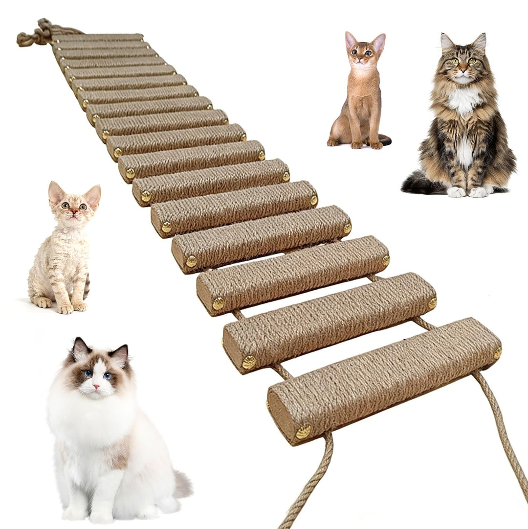 Katzenleiter 150 cm, Katzenleiterbrücke aus Holz & Sisalseil, Klettergerüst für Katzen, Aktivitätskr