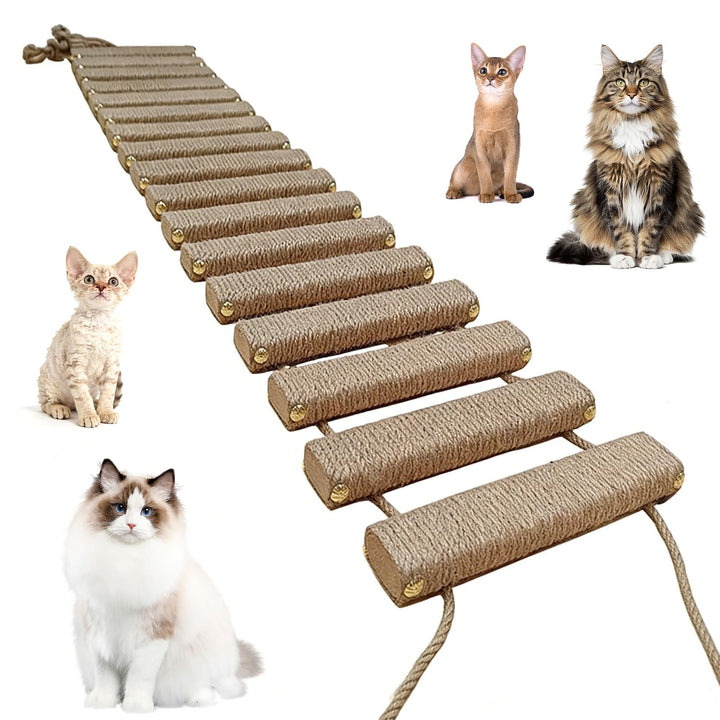 Katzenleiter 150 cm, Katzenleiterbrücke aus Holz & Sisalseil, Klettergerüst für Katzen, Aktivitätskr