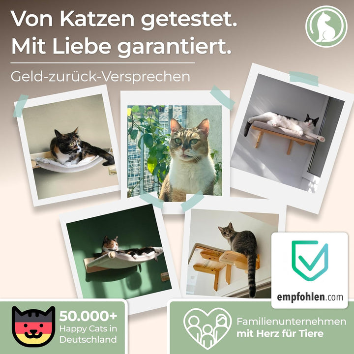 WOOWOOD® 2X Kletterwand Katzen - 3X Katzentreppe Wand [Beste Stabilität] - Kratzbaum Wand, Hängematt