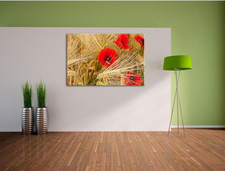 Pixxprint Mohnblumen auf dem Mais-Feld als Leinwandbild/Grösse: 100x70 cm/Wandbild/Kunstdruck/fertig