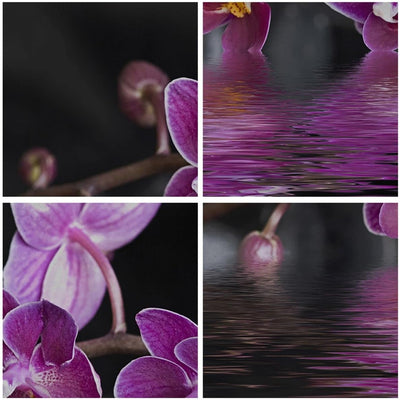 Wandbilder Dekoration Wohnzimmer Asien exotisch orchidee blume Panorama Bilder auf Leinwand 120x50cm