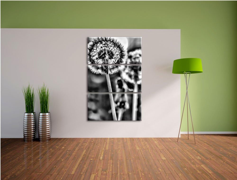 Pixxprint Pusteblume als Leinwandbild/Grösse: 3 Teilig (120x80) cm/Wandbild/Kunstdruck/fertig bespan