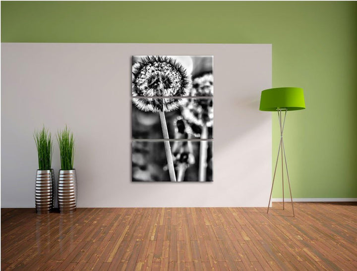 Pixxprint Pusteblume als Leinwandbild/Grösse: 3 Teilig (120x80) cm/Wandbild/Kunstdruck/fertig bespan