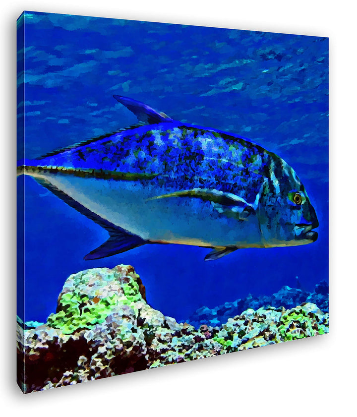 deyoli Blauer Fisch im klaren Wasser Format: 70x70 Effekt: Zeichnung als Leinwandbild, Motiv auf Ech