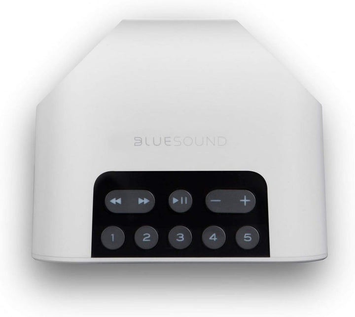 Bluesound Pulse Flex 2i tragbarer kabelloser Streaming-Lautsprecher - Weiss White, White