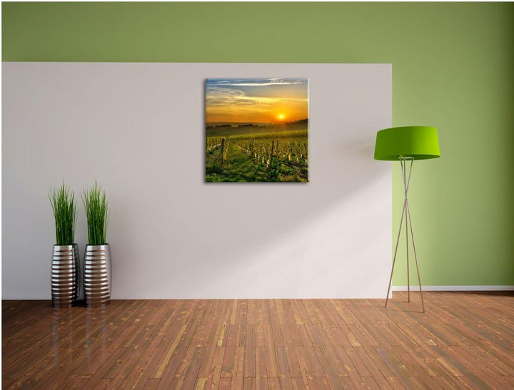 Pixxprint Weinberg in Bergerac Frankreich, Format: 70x70 auf Leinwand, 70x70