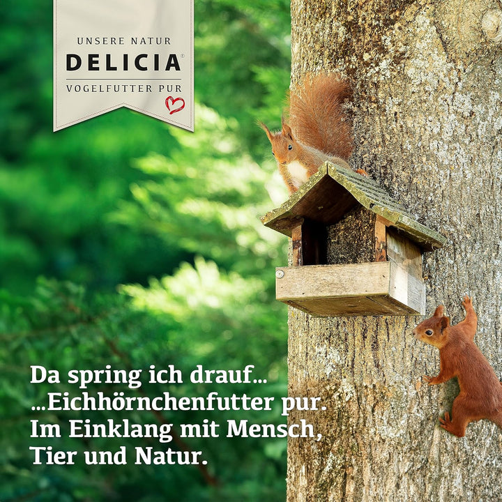 DELICIA® Eichhörnchen FutterMix (350g) · Eichhörnchen Futter mit Nüssen, Früchten & Kernen · Ganzjah