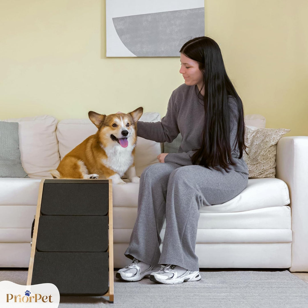 Hundetreppe für Bett & Sofa 2-in-1 Rampe - Höhenverstellbar bis 18-50 cm - für Kleine Hunde - leicht