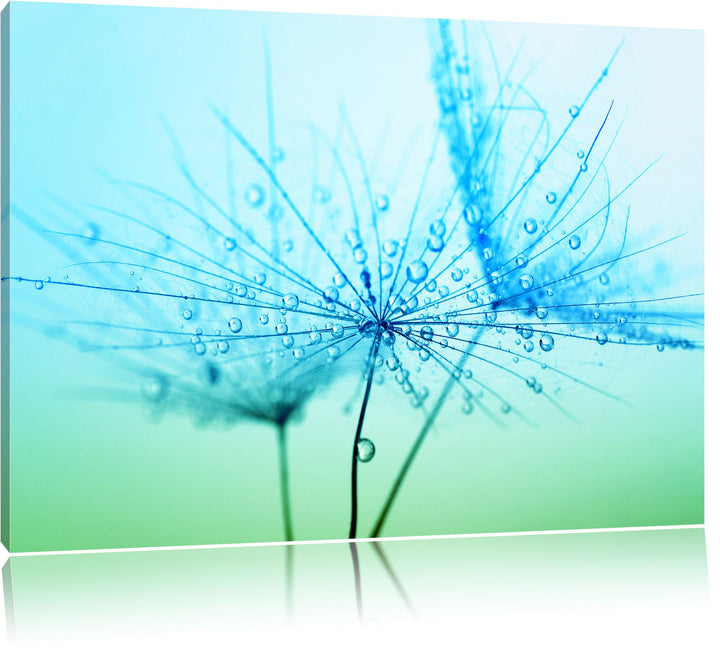 Pixxprint Pusteblume bedeckt mit Tropfen als Leinwandbild/Grösse: 100x70 cm/Wandbild/Kunstdruck/fert