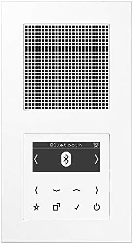 Jung Smart Radio DAB Bluetooth Komplett-Set Serie A Weiss mit Lautsprecher DABA1BTWW und 2-Fach Rahm