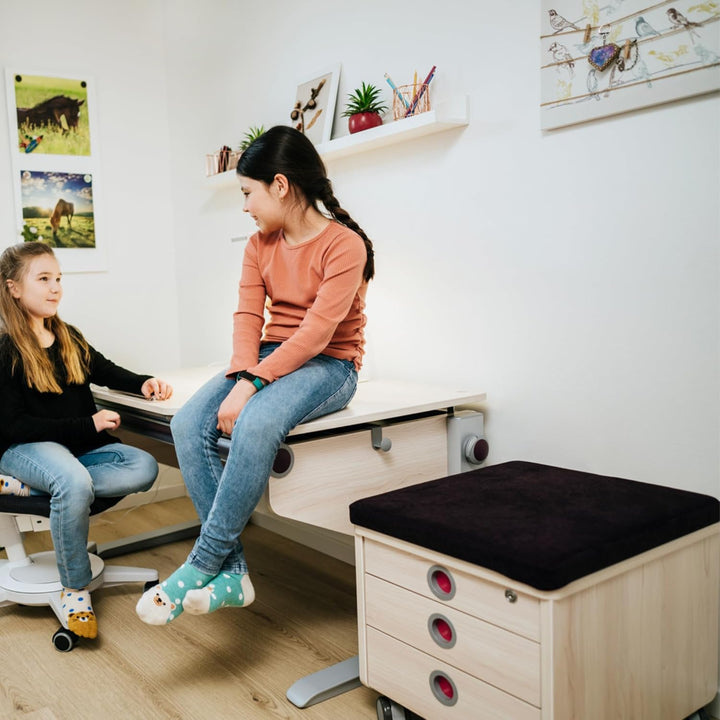 moll Pad, Sitzkissen für die Rollcontainer moll Pro und moll Cubic, abnehmbar und leicht zu reinigen