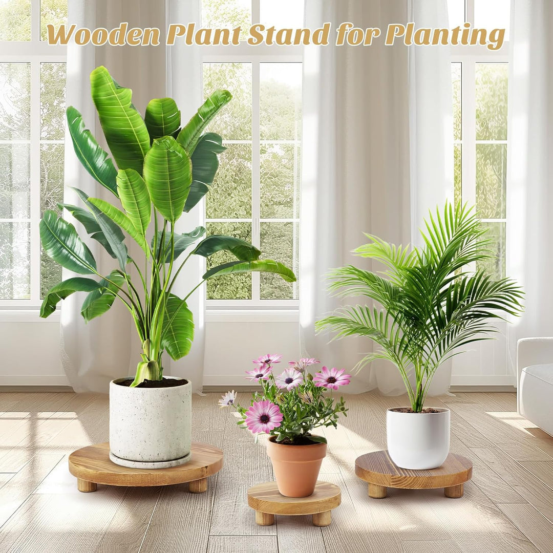 Holzpflanzenständer, Holzpodeste für den Innen- und Aussenbereich zur Dekoration, Holz-Hocker-Ausste