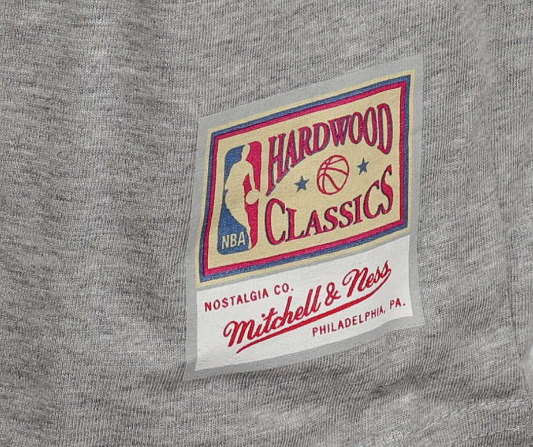 Mitchell & Ness Name & Number T-Shirt (NBA | HWC | NFL) Grey Heather, Toronto Raptors S, Grey Heathe